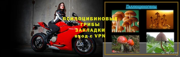 крисы Белокуриха
